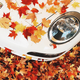 Illustration for article titled A Better List of the Automotive Instagram Accounts You Must Follow